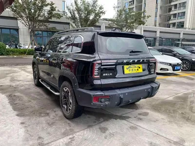 2022 Haval Big Dog Model 2.0T DCT AWD Howling Celestial Dog Hunting Edition, фото 4, лот 11138504