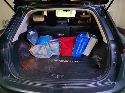 2021 Changan CS55 PLUS Blue Whale Edition 1.5T DCT Luxury, фото 4, лот 10403716