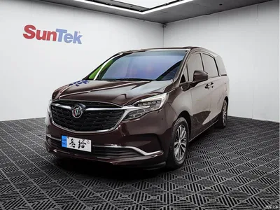 2020 Buick GL8 Model ES Landglory 653T Comfort, фото 1, лот 10256859