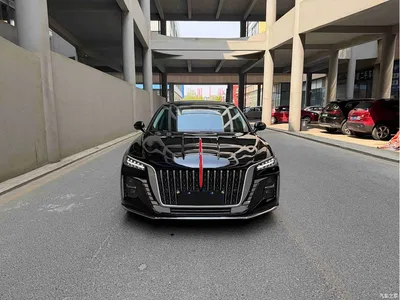 2023 Hongqi H5 1.5T DCT Smart Connect Joy Edition, фото 2, лот 10288044