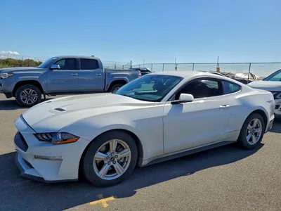 2019 FORD MUSTANG, фото 1, лот 10500416