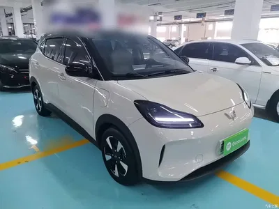 2024 Wuling Motors Wuling Binguo PLUS 510km Range 5-seater, фото 4, лот 10836091