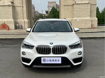 2019 BMW X1 sDrive20Li Leading Model, фото 2, лот 10465296