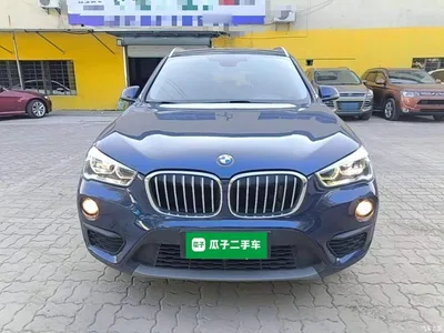 2019 BMW X1 sDrive20Li Leading Model, фото 3, лот 10467698