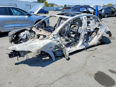 2024 TESLA MODEL 3, фото 1, лот 11240355