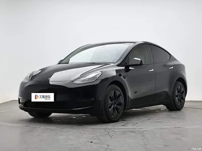 2023 Tesla Model Y Long Range All-Wheel Drive Edition, фото 1, лот 10765100