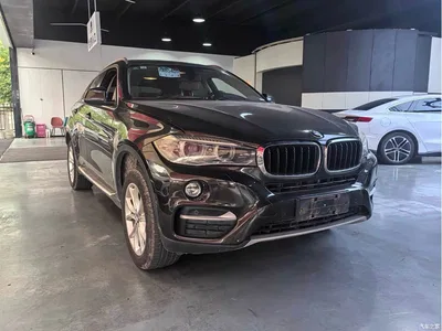 2015 BMW X6 xDrive28i, фото 3, лот 10469379