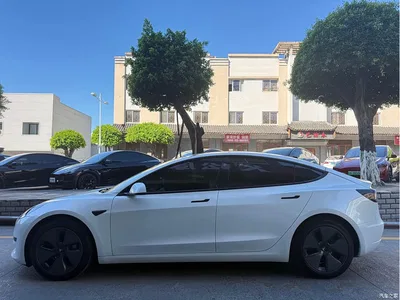 2022 Tesla Model 3 Model Rear-Wheel Drive Version, фото 4, лот 10351990