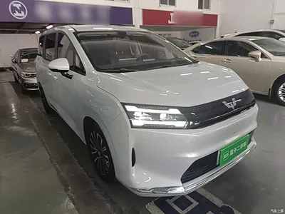 2025 Wuling Motors Xingguang 730 New Energy Model Pure Electric Base Version, фото 4, лот 11167273