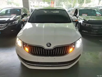 2019 Škoda Octavia 1.5L Automatic Smart Luxury China VI, фото 3, лот 10348044