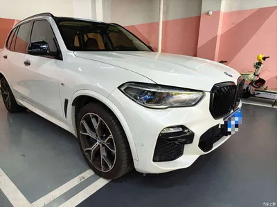 2019 BMW X5 (Import) xDrive40i Exclusive M Sport Package, фото 3, лот 10401239