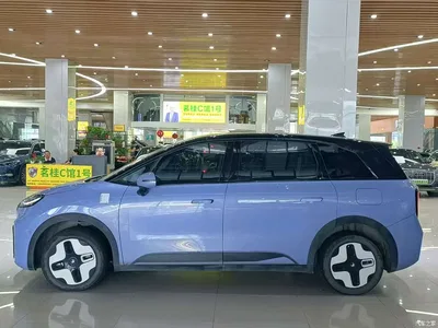 2023 ARCFOX Koala Family Edition Pro, фото 4, лот 11151743
