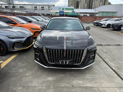 2023 Hongqi H5 2.0T Auto Smart Connect Flag Comfort, фото 2, лот 10385456