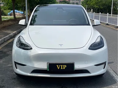 2021 Tesla Model Y Model Long Range AWD, фото 2, лот 11138779