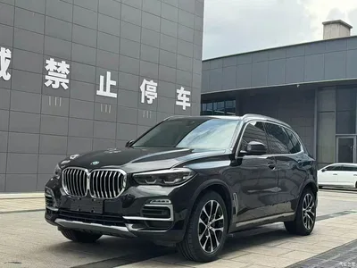 2020 BMW X5 (Import) xDrive30i M Sport Package, фото 1, лот 10464145