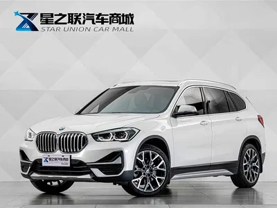 2021 BMW X1 Facelift xDrive25Li Premium, фото 1, лот 10414713