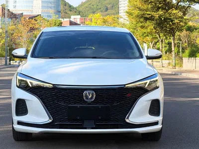 2020 Changan Eado PLUS Blue Whale NE 1.4T GDI DCT Premium, фото 2, лот 11580078