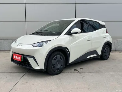2024 BYD Seagull Glory Edition 305km Vitality Edition, фото 1, лот 10254812