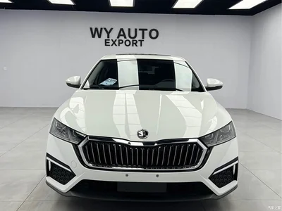 2023 Škoda Octavia PRO TSI280 Premium Edition, фото 2, лот 10348500