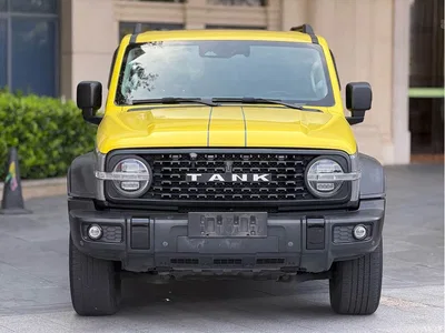 2021 Tank 300 Off-road Version 2.0T Conqueror, фото 3, лот 11515597