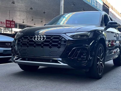 2025 Audi Q5L 45 TFSI Luxury Dynamic, фото 1, лот 10241445