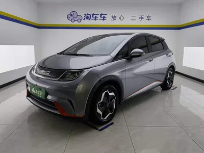 2021 BYD Dolphin Model 405km Fashion Edition, фото 1, лот 10247074