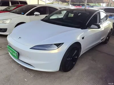 2025 Tesla Model 3 Model Rear-Wheel Drive Edition, фото 2, лот 10369317