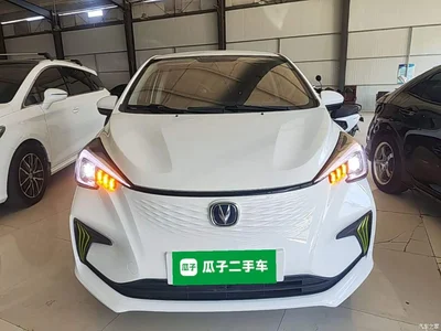 2020 Changan Benben E-Star Heartbeat Edition (NMC Battery), фото 3, лот 10253177