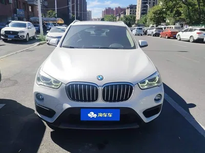 2019 BMW X1 sDrive20Li Leading Model, фото 2, лот 10680306