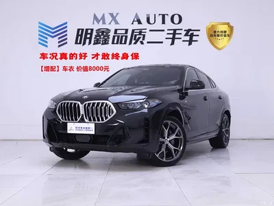 2023 BMW X6 xDrive40i M Sport Package, фото 1, лот 10763703