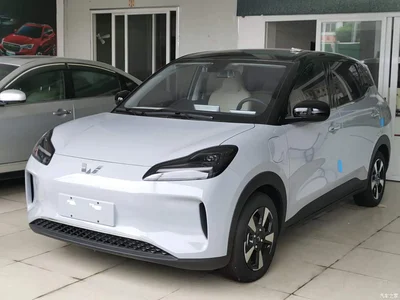 2024 Wuling Motors Wuling Binguo PLUS Model 330km 5-Seater, фото 1, лот 10836020