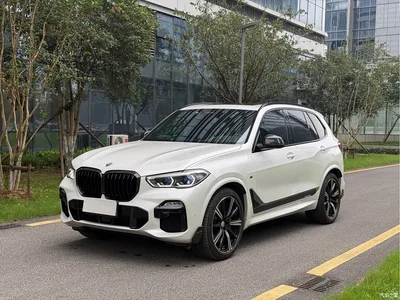 2019 BMW X5 (Import) xDrive40i Exclusive M Sport Package, фото 1, лот 11415148