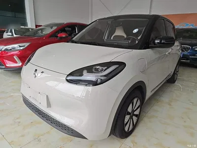 2024 Wuling Motors Wuling Bingo 333km Comfort Edition, фото 1, лот 10386427