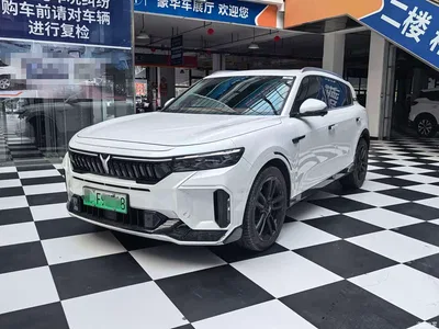 2024 Voyah Auto VOYAH FREE Ultra Long Range Intelligent Driving Edition, фото 1, лот 10311303