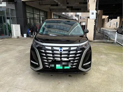 2024 Denza D9 DM-i 980 AWD Premium, фото 2, лот 11302165