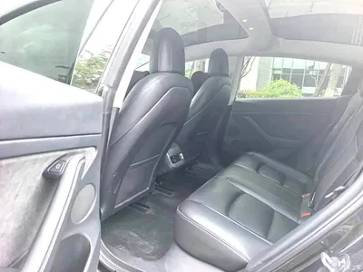 2023 Tesla Model 3 Rear-Wheel Drive, фото 4, лот 10816093