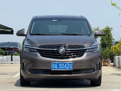 2020 Buick GL8 Land Business Class 652T Premium, фото 2, лот 11242560