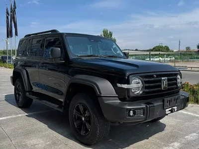 2021 Tank 300 Off-road Version 2.0T Conqueror, фото 3, лот 11580483