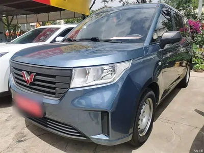 2020 Wuling Motors Wuling Hongguang PLUS 1.5L Manual Standard 5-seater, фото 1, лот 10371846