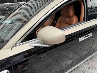 2025 Zunjie S800 Range Extender Starlight Executive 4-Seater, фото 3, лот 10414811