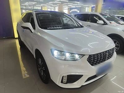 2020 WEY VV5 1.5T 2WD Smart Pioneer, фото 4, лот 10452220