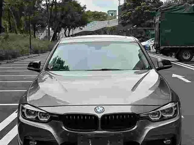 2018 BMW 3 Series 320Li M Sport Black Night Edition, фото 1, лот 11550922