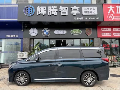 2021 GAC Trumpchi Trumpchi M8 Leading Show Series 390T Ultimate Edition, фото 4, лот 10420225