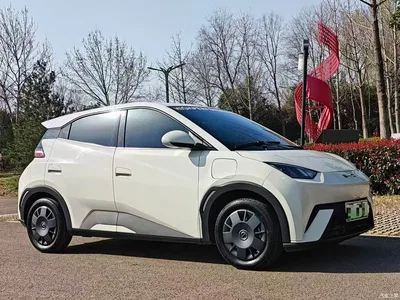 2024 BYD Seagull Glory Edition 305km Vitality Edition, фото 4, лот 11141151