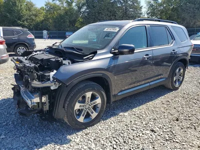 2026 HONDA PILOT EXL, фото 1, лот 10721433