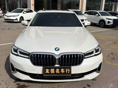 2021 BMW 5 Series Facelift 530Li Premium Luxury Package, фото 2, лот 11187206
