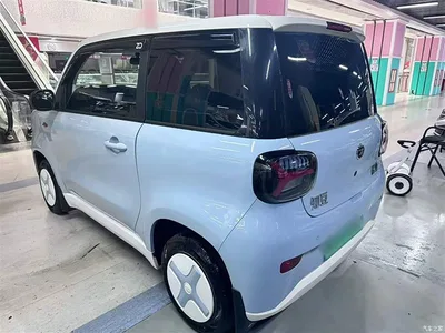 2025 Zhido Rainbow Pro 205km Sunshine Edition, фото 4, лот 10457213