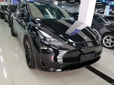 2023 Tesla Model Y Rear-Wheel Drive Edition, фото 4, лот 10369954