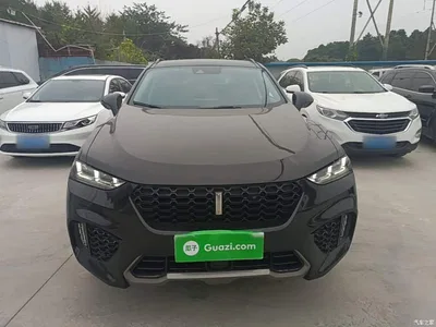 2017 WEY VV7 2.0T Flagship, фото 3, лот 11136760