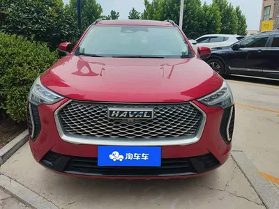 2021 Haval First Love 1.5T Automatic Premium Edition, фото 2, лот 11150198